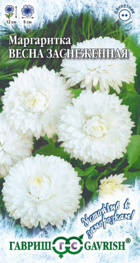 Весна заснеженная Ц(Г)