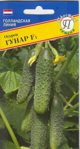 Гуннар 5шт.Ц(П)