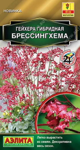Брессингхема Ц(А)
