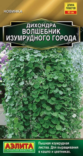 Волшебник Изумрудного города Ц(А)