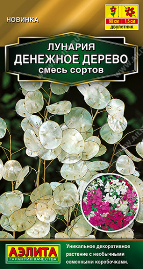 Денежное дерево смесь Ц(А)