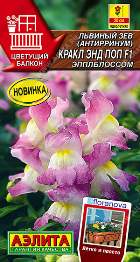 Кракл энд поп эпплблоссом Ц(А)