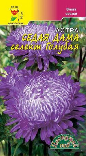 Седая дама Голубая/Цветущий Сад