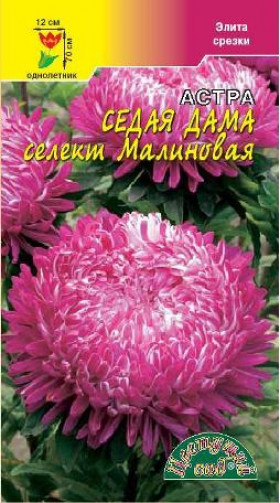 Седая дама Малиновая/Цветущий Сад