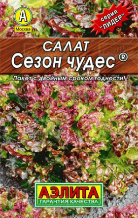 Сезон чудес красн. лист Лидер