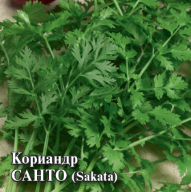 Санто 10г Гавриш