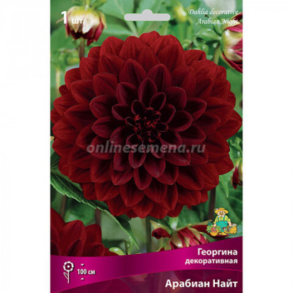 Арабиан Найт 1