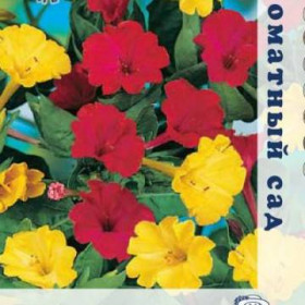 Кавалер Ц(Поиск)