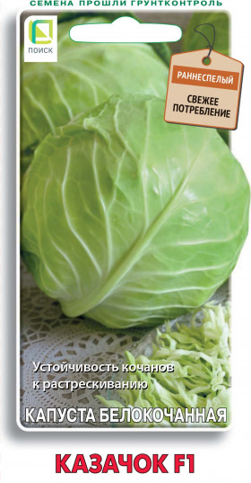 Казачок Ц(Поиск)