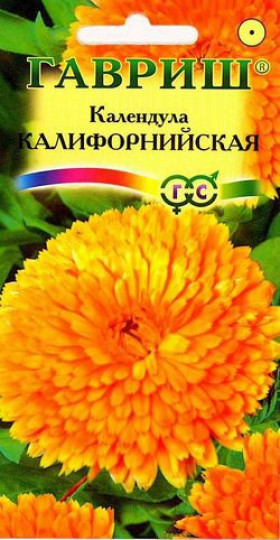 Калифорнийская махровая Ц(Г)