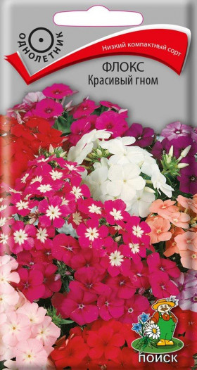 Красивый гном Ц(Поиск)