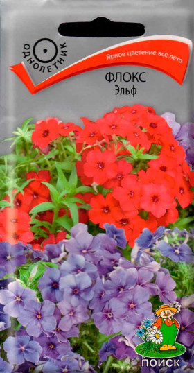 Эльф Ц(Поиск) (10082                    )