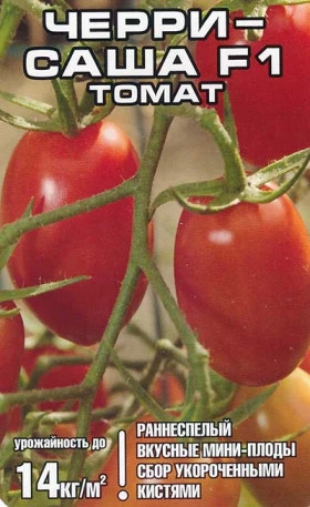 Саша черри Ц(УД)