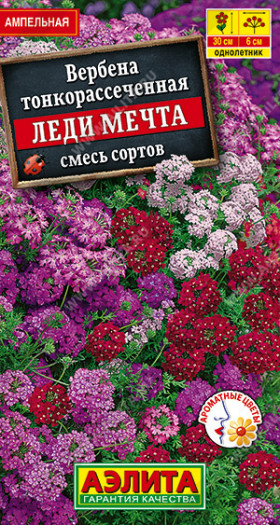 Леди мечта смесь Ц(А)