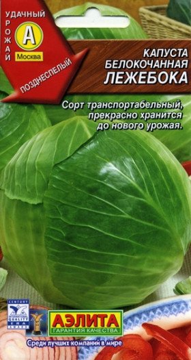 Лежебока Ц(А)