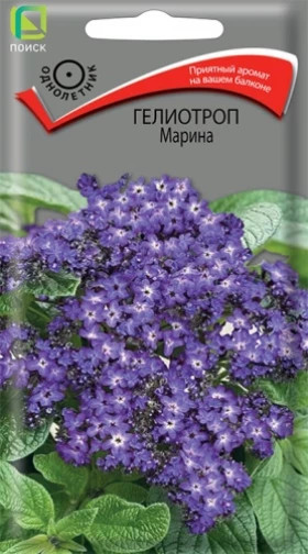 Марина Ц(Поиск)