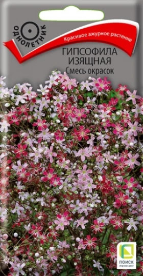 Изящная смесь  окрасок Ц(Поиск)