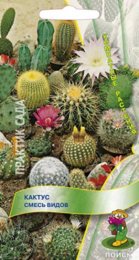 Смесь видов Ц/Поиск