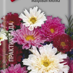 Махровая кнопка Ц(Поиск)