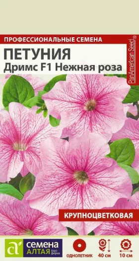 Дримс Неоновая роза 10шт Ц(Алт)