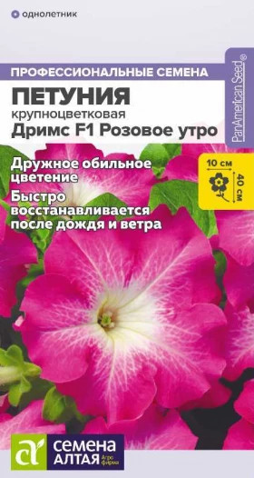 Дримс Розовое утро 10шт Ц(Алт)