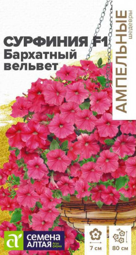 Сурфиния Бархатный Вельвет F1 5шт Ц(Алт)