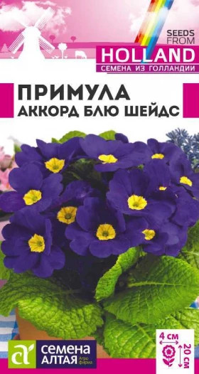 Аккорд Блю шейдс 5шт Ц(Алт)