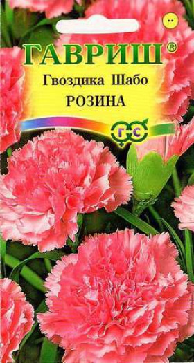 Шабо Розина Ц(Г)