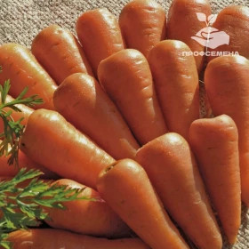 Шантанэ Королевская (банка-0,5кг)