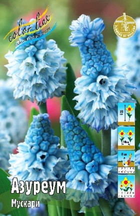 Азуреум 5/6, 10шт
