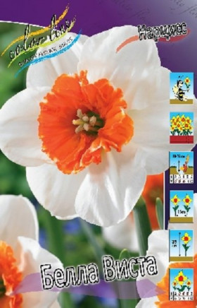 Белла Виста 12/14 (крупн. гофр.) 5шт