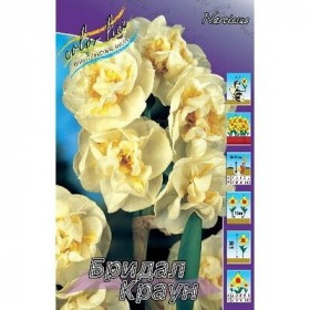 Бридал Краун 12/14 (мнгцв.махр.) 5шт