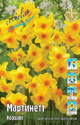 Мартинетт 10/12 (мнгцв.) 10шт