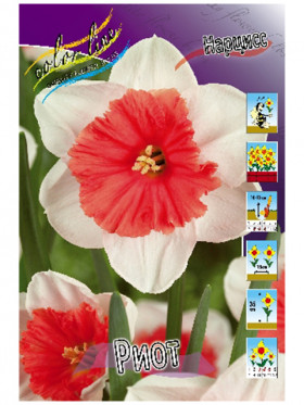 Риот 12/14 (бахром.корон.) 5шт