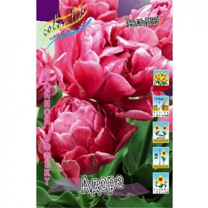 Адоре 11/12 (2й эффект) 7шт