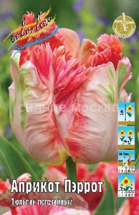 Априкот Пэррот 11/12 (попуг.) 5шт