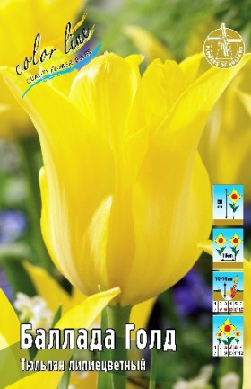 Баллада Голд 11/12 (лил.) 7шт