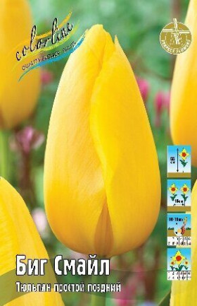Биг Смайл 11/12 (пр.поздн) 8шт