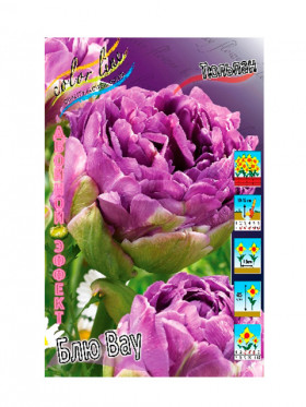 Блю Вау 11/12 (2-й эффект) 7шт