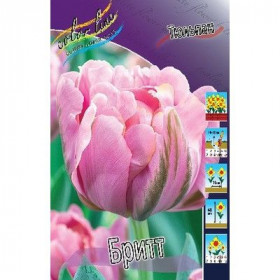 Бритт 11/12 (махр.поздн) 7шт