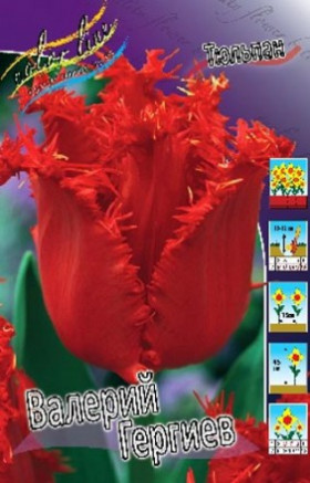 Валерий Гергиев 11/12 (бахр.) 7шт