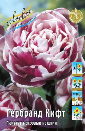 Гербранд Кифт 11/12 (махр.поздн) 8шт