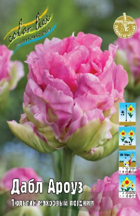 Дабл Ароуз 12/+ (махр.поздн) 7шт