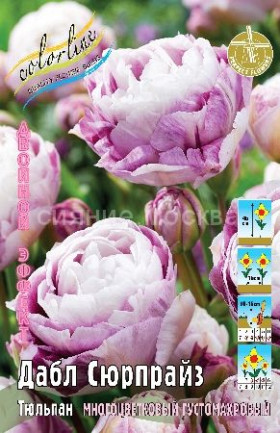 Дабл Сюрпрайз 11/12 (2й эффект) 5шт