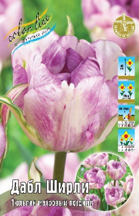 Дабл Ширли 11/12 (махр.поздн) 7шт