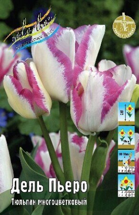 Дель Пьеро 11/12 (мнгцв.) 7шт