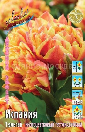 Испания 11/12 (2-й эффект) 5шт