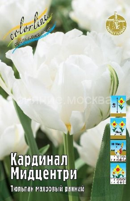 Кардинал Мидцентри 11/12 (махр.ранн.) 7шт