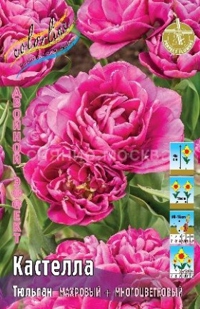 Кастелла 11/12 (2-й эффект) 7шт