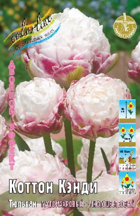 Коттон Кэнди 10/11 (2й эффект) 7шт